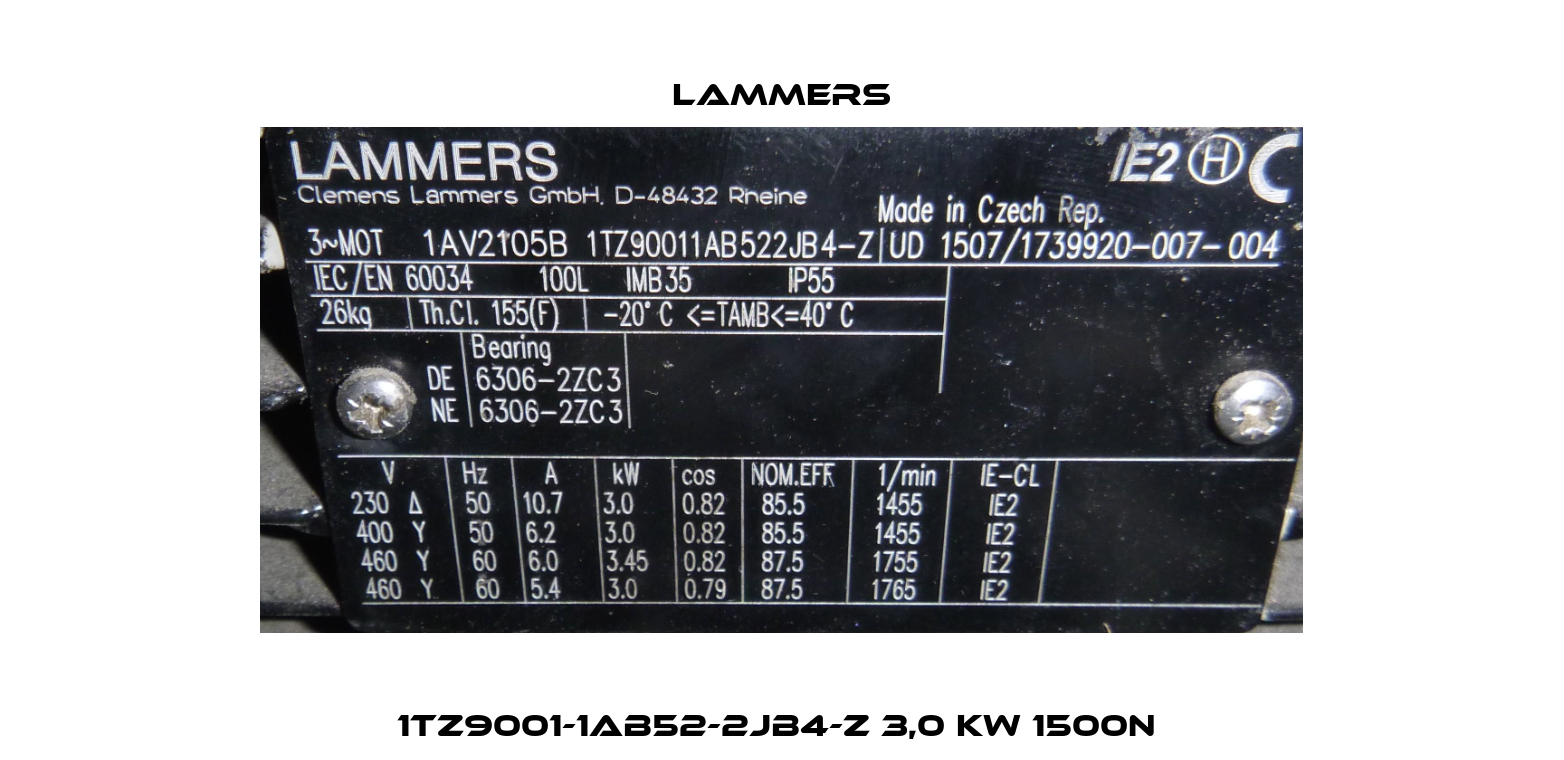 1TZ9001-1AB52-2JB4-Z 3,0 kW 1500n  Lammers