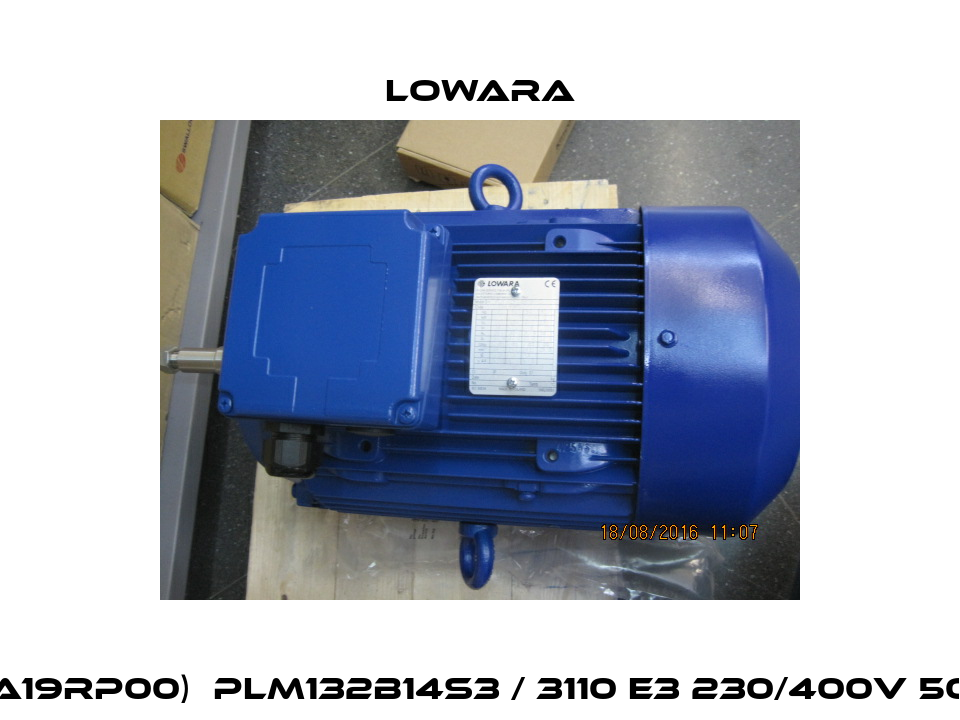 50A19RP00)  PLM132B14S3 / 3110 E3 230/400V 50Hz Lowara