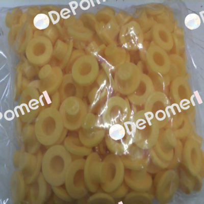WW-3X CAPLUGS