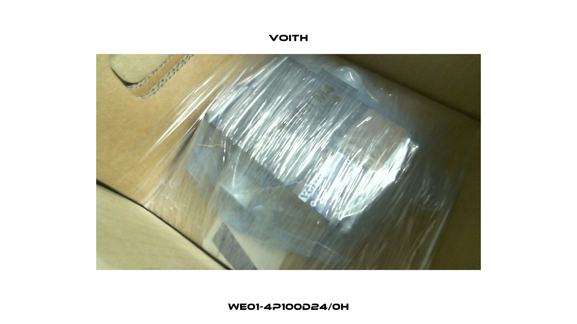 WE01-4P100D24/0H Voith