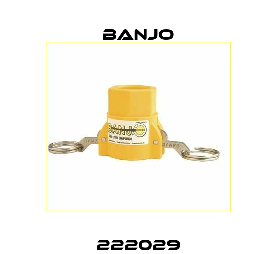 222029 Banjo