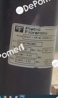 Maintenance kit 302/A from 2006 Pietro Fiorentini