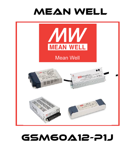 GSM60A12-P1J Mean Well