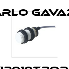 EI3010TBOPL Carlo Gavazzi
