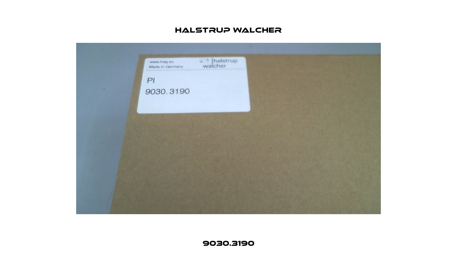 9030.3190 Halstrup Walcher