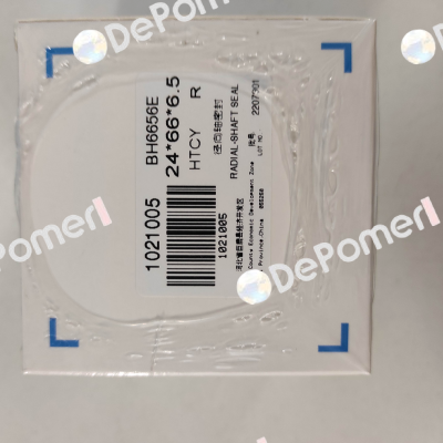BH6656E DMHUI