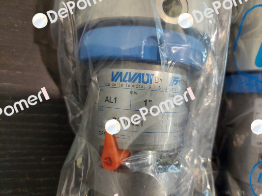 Z901421 Valvaut