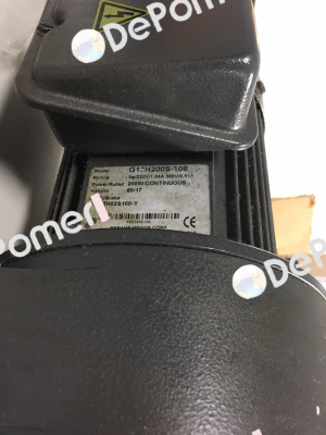G13H200S-100 Sesame Motor