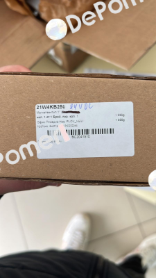 80000004  21W4KB250-BDV08024CY Ode