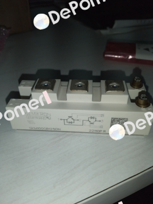 21915390 / SKM100GB125DN Semikron