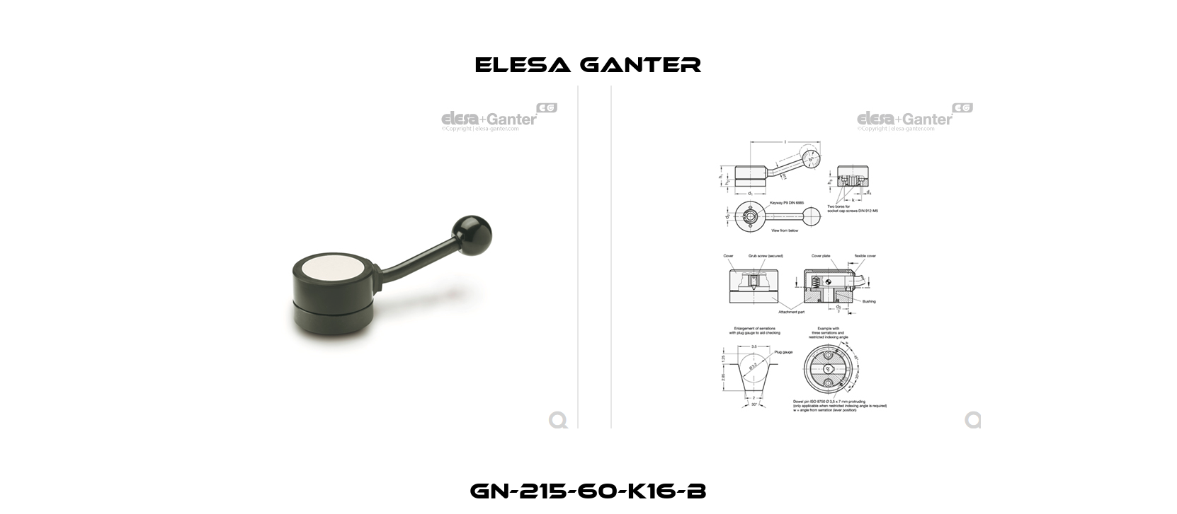 GN-215-60-K16-B Elesa Ganter