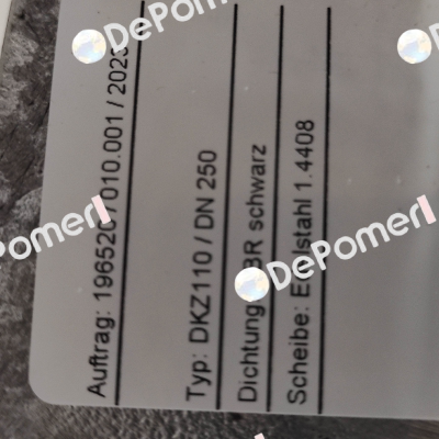 DKZ110 DN 250 WX 2000 Warex