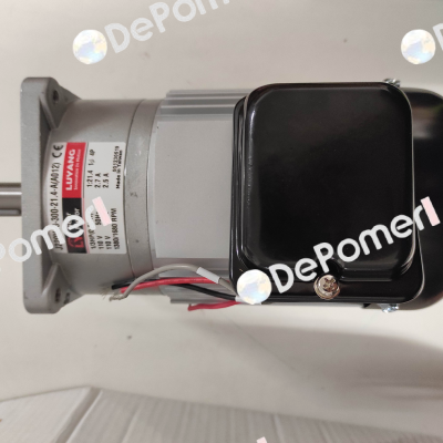 J220V18-300-21.4-A (A012) G3 Luyang Gear Motor