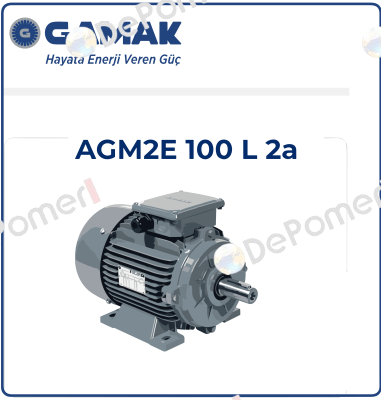 2007 177409 AGM 100 L 2 Gamak