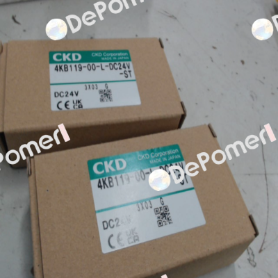 4KB119-00-L-DC24V Ckd